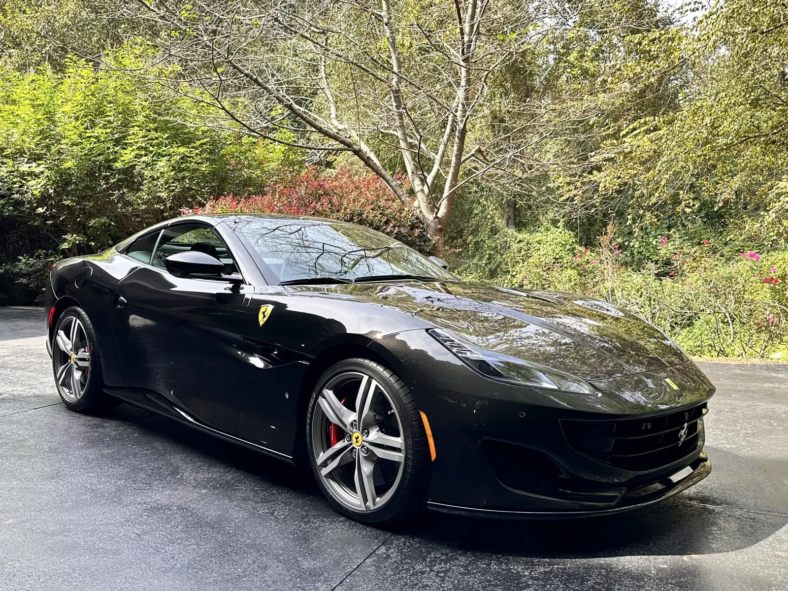 2019 Ferrari Portofino