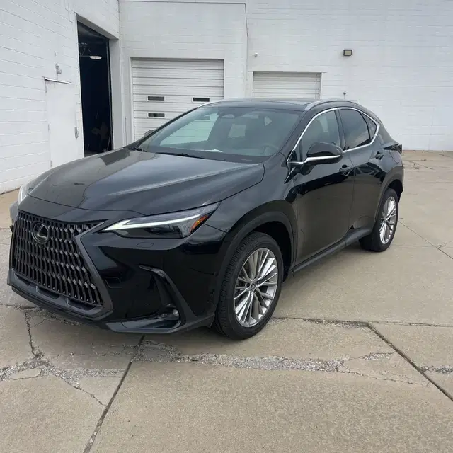 2024 Lexus NX 350h Luxury